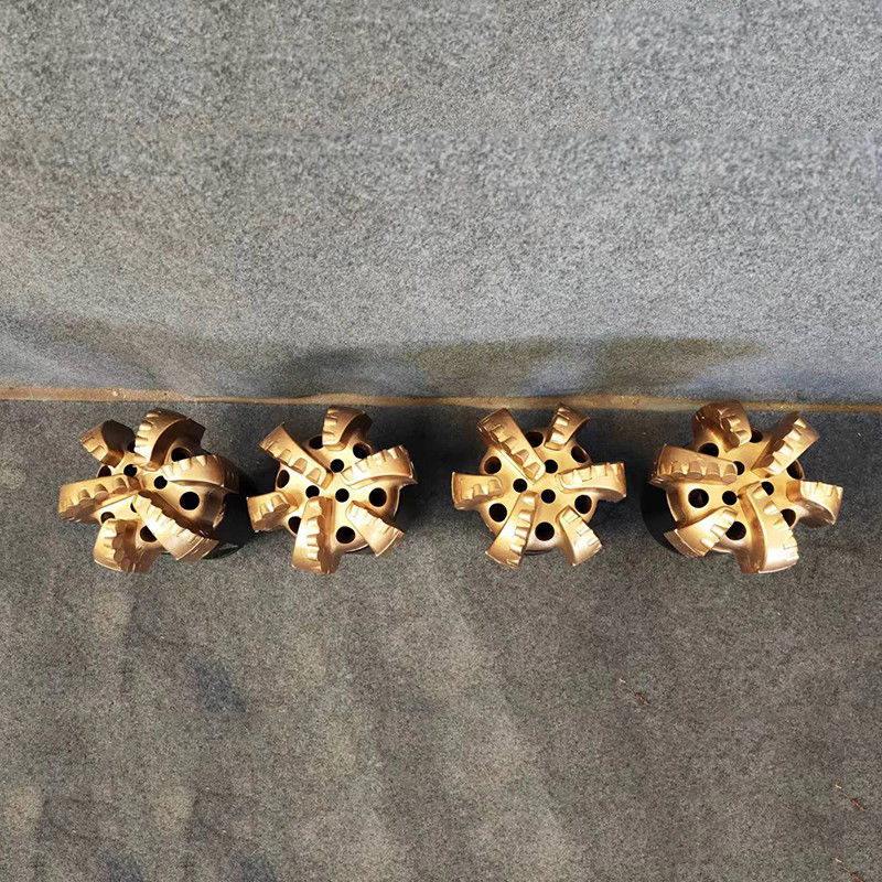 15 1/2 (393.7mm) Showroom personalizzato Località petrolifero Pozzo d'acqua PDC Bits Durable