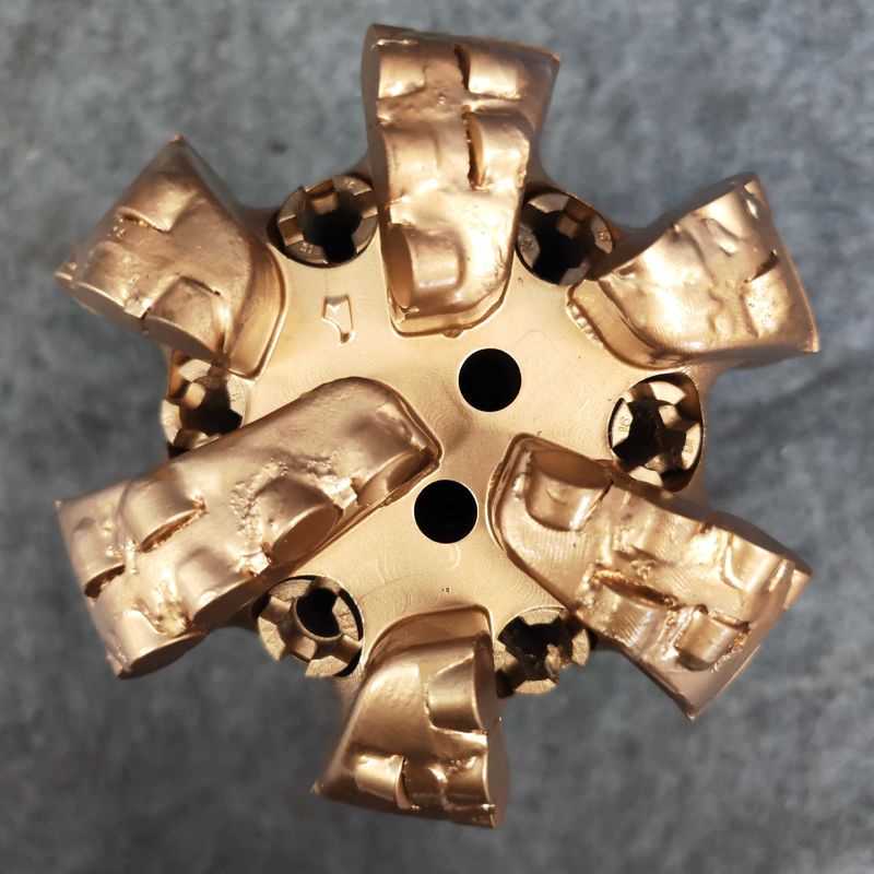 Personalizzabile 200mm 6 lame Pozzo d'acqua Pdc Bits con ugello e tipo di taglio tagliatore fisso