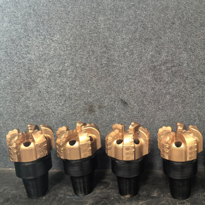 Progettazione personalizzare bit PDC da 98 mm a 250 mm per formazioni morbide a medie morbide
