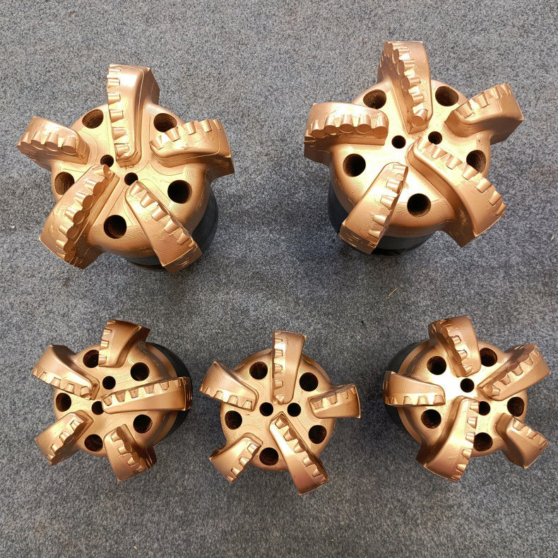 Progettazione personalizzare bit PDC da 98 mm a 250 mm per formazioni morbide a medie morbide
